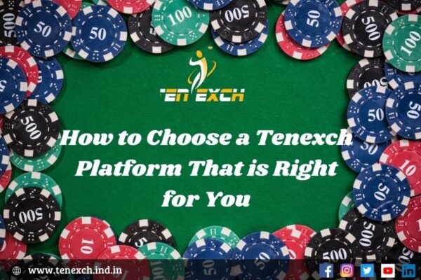 Choose a Tenexch Platform That is Right for You